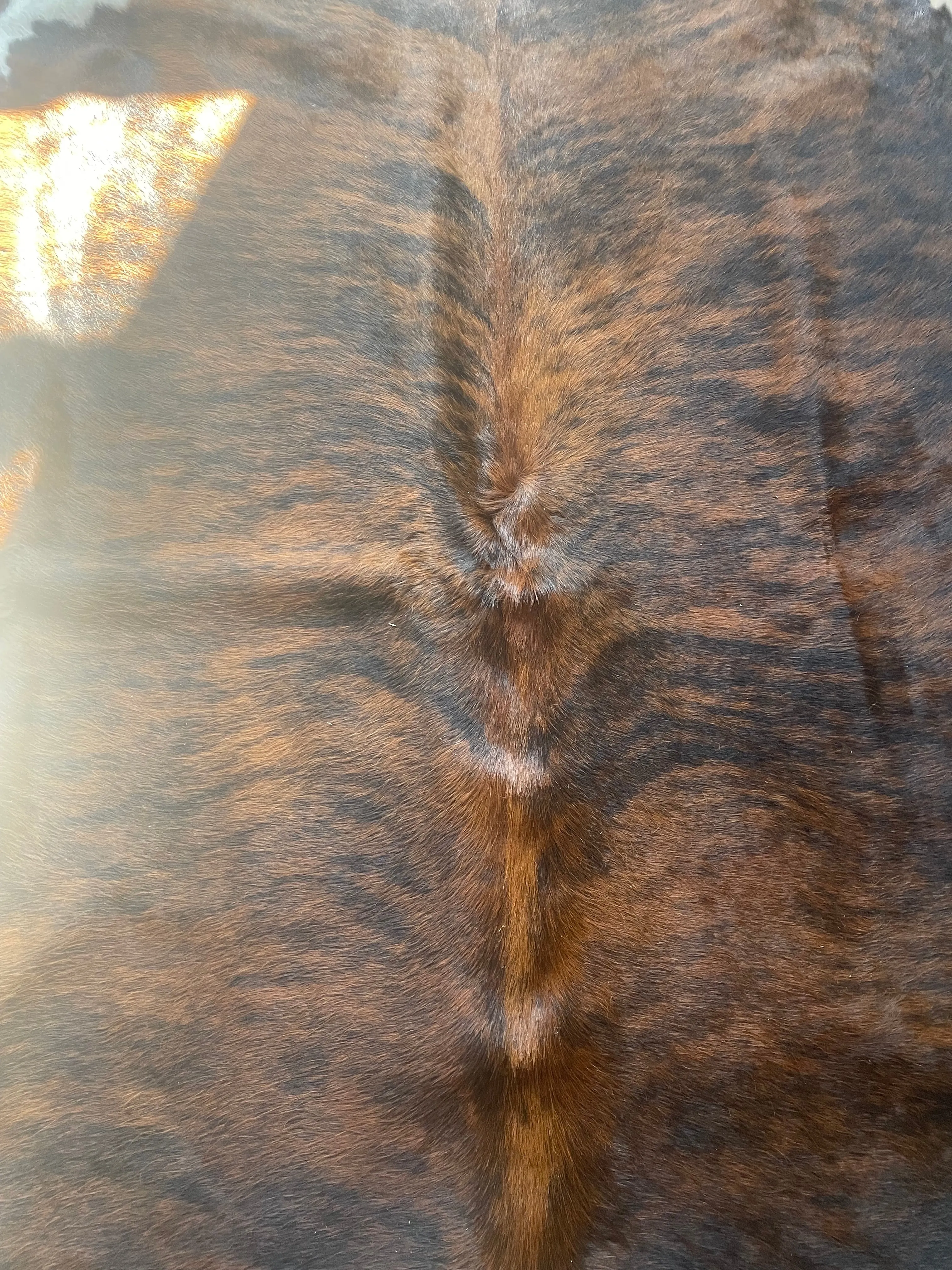Brindle Cowhide, 4’10x6’8