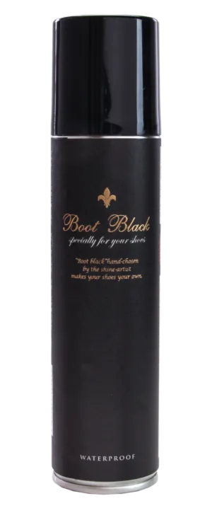 Waterproof Aerosol Spray