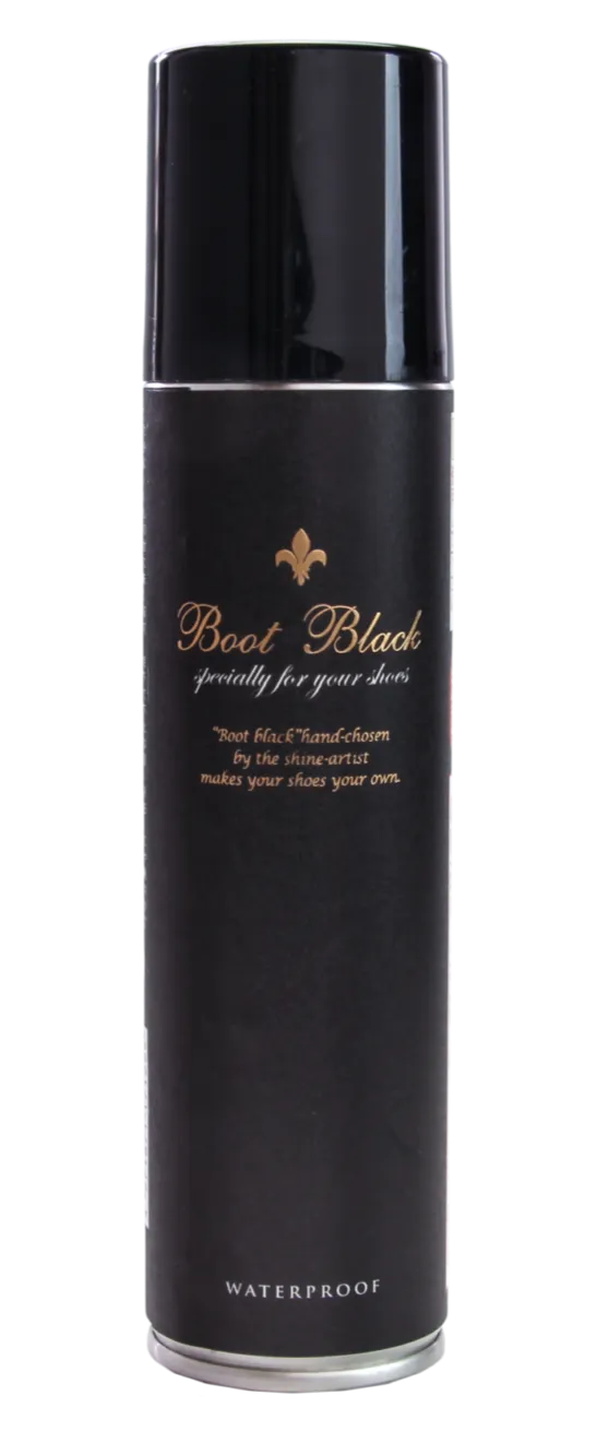 Waterproof Aerosol Spray